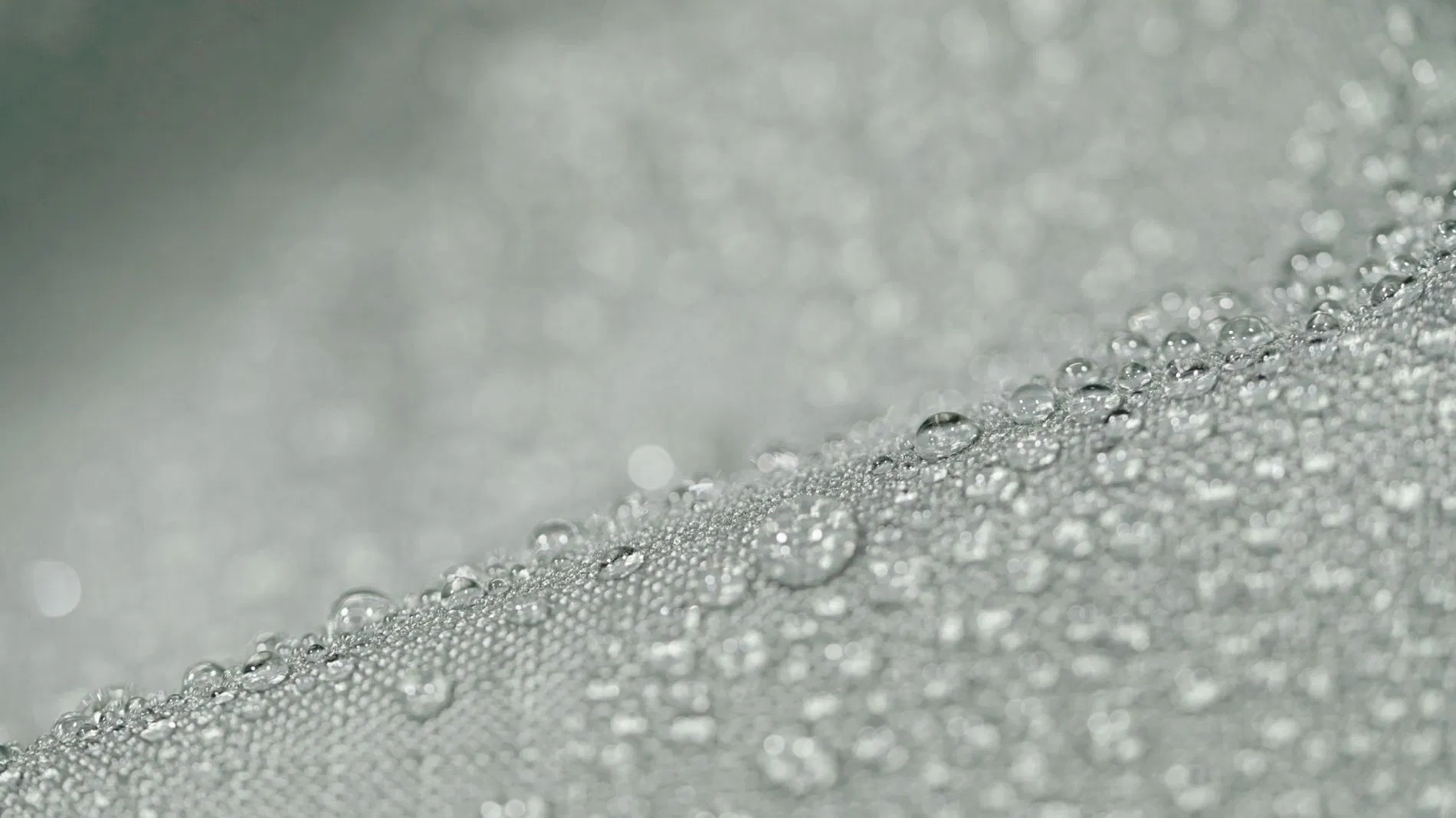 Anissea L Weather-proof cover