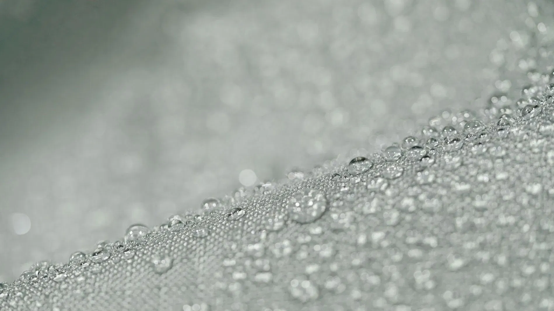 Anissea L Weather-proof cover